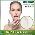 High pure Marine fish scale collagen, Food Grade & Cosmetic Grade
